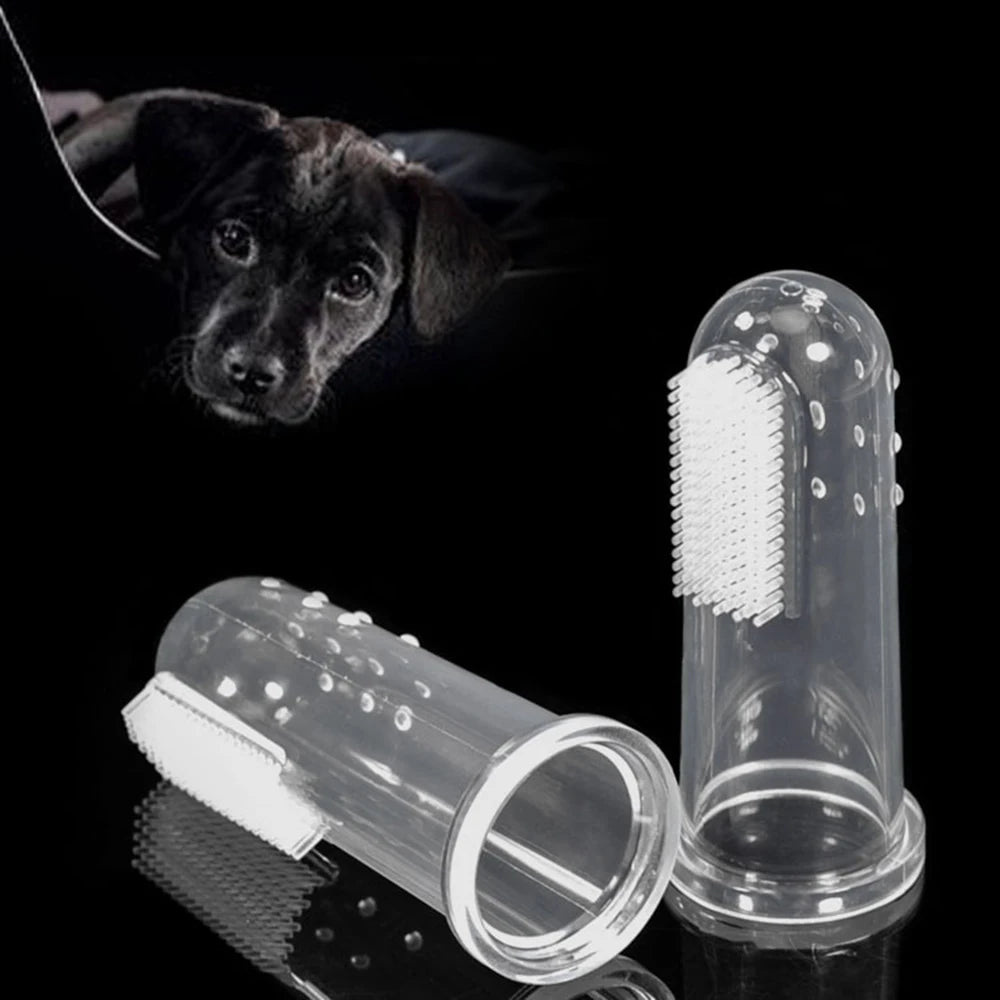 Dog Toothbrush Teeth