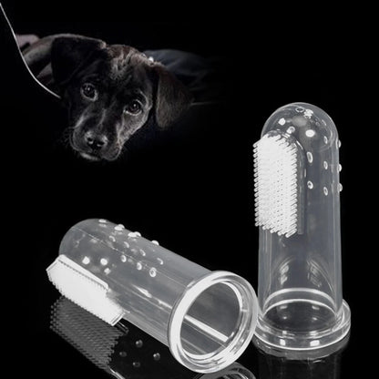 Dog Toothbrush Teeth