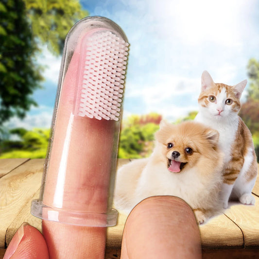Dog Toothbrush Teeth